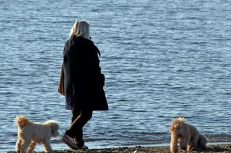 Scotch sul muso del cane, coppia condannata a un anno