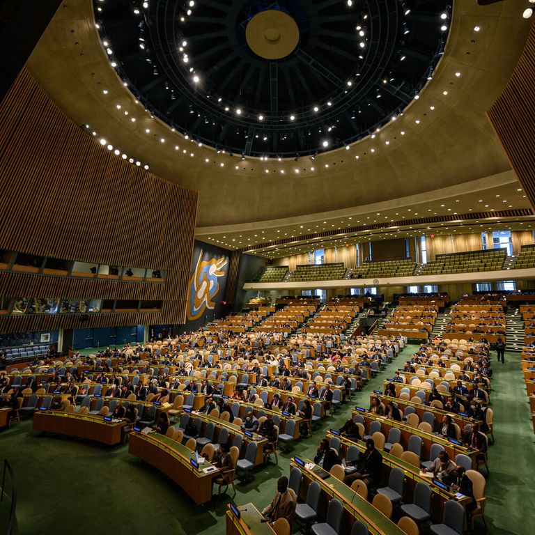 Assemblea generale dell&rsquo;Onu