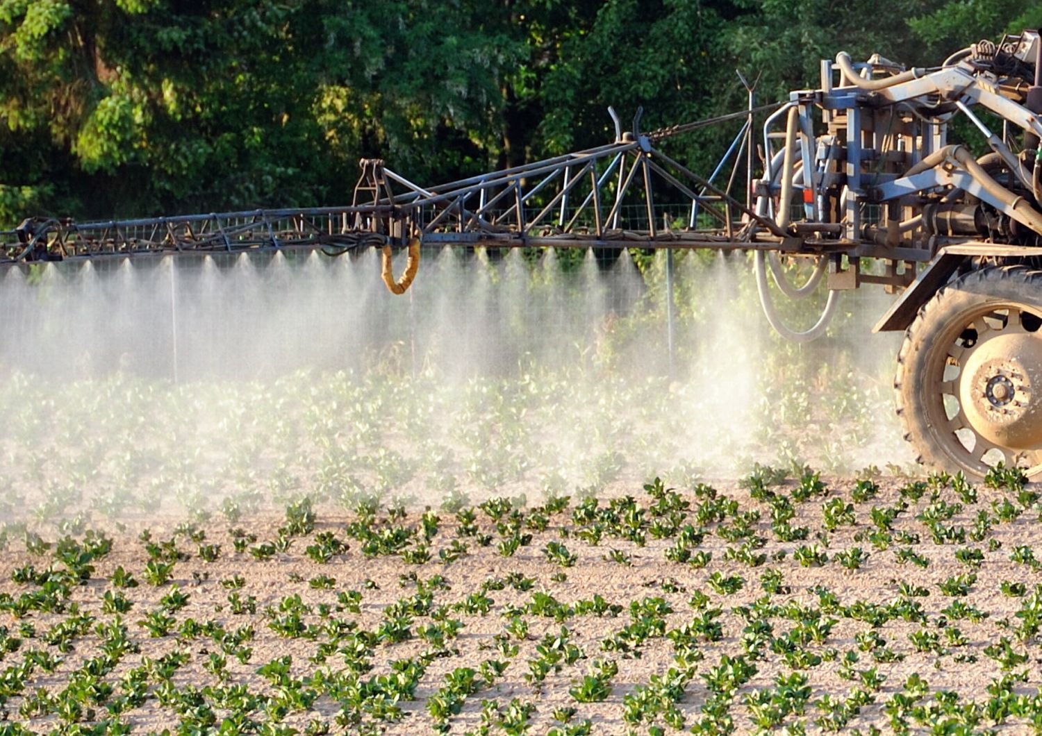 Pesticidi agricoltura (Afp)