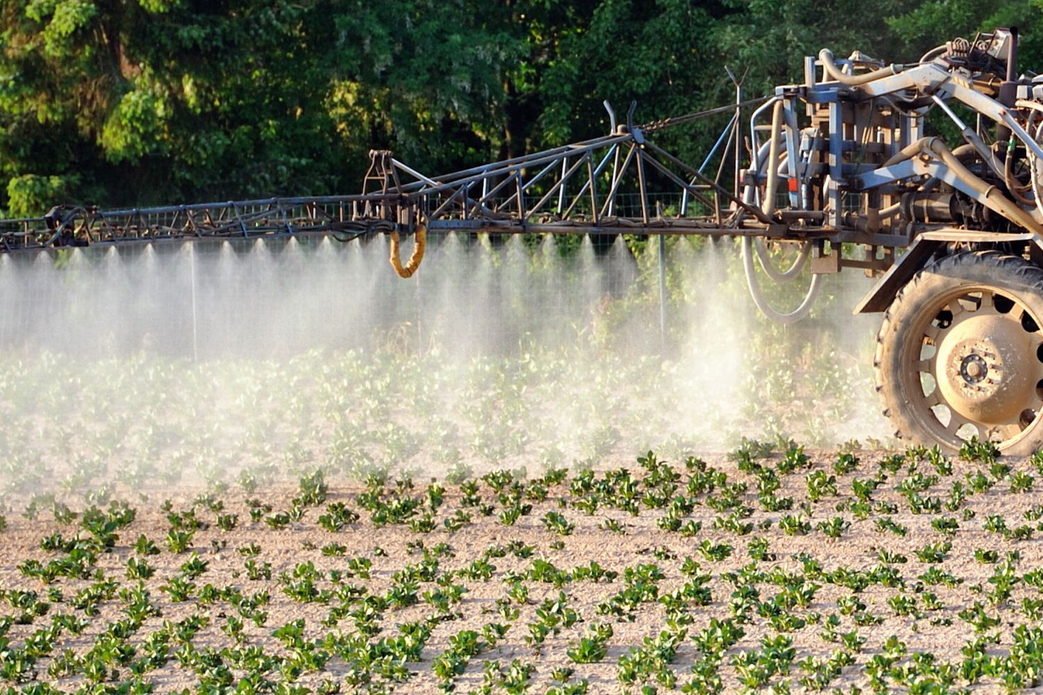 Pesticidi agricoltura (Afp)