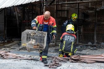 Animali morti in gabbia nell'incendio nel mercato di Chatuchak