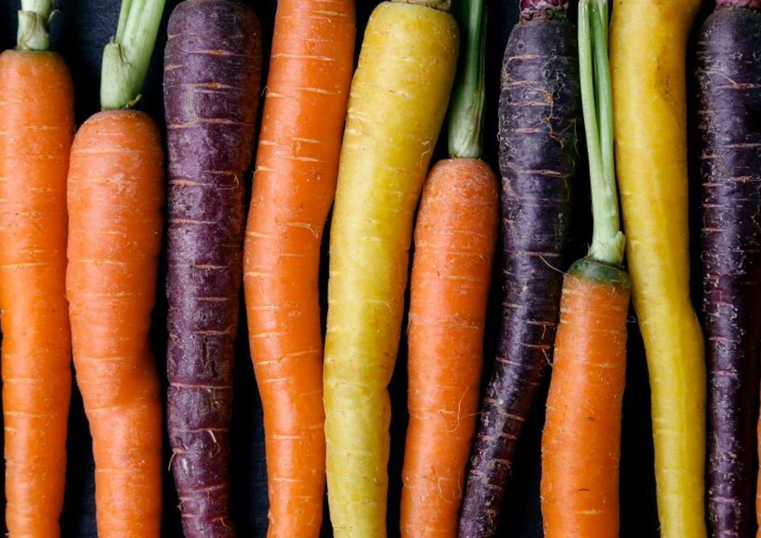 g7 puglia colori carota polignano