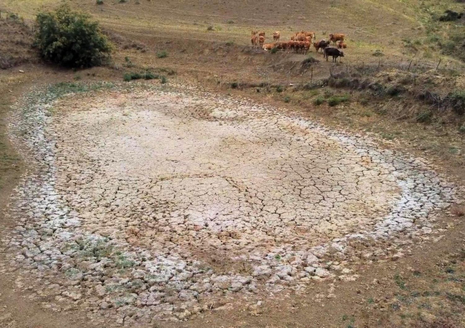 Siccità nella Sicilia occidentale