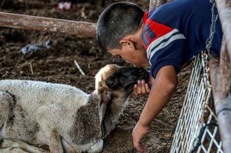 islam eid el ahda giorno sacrificio