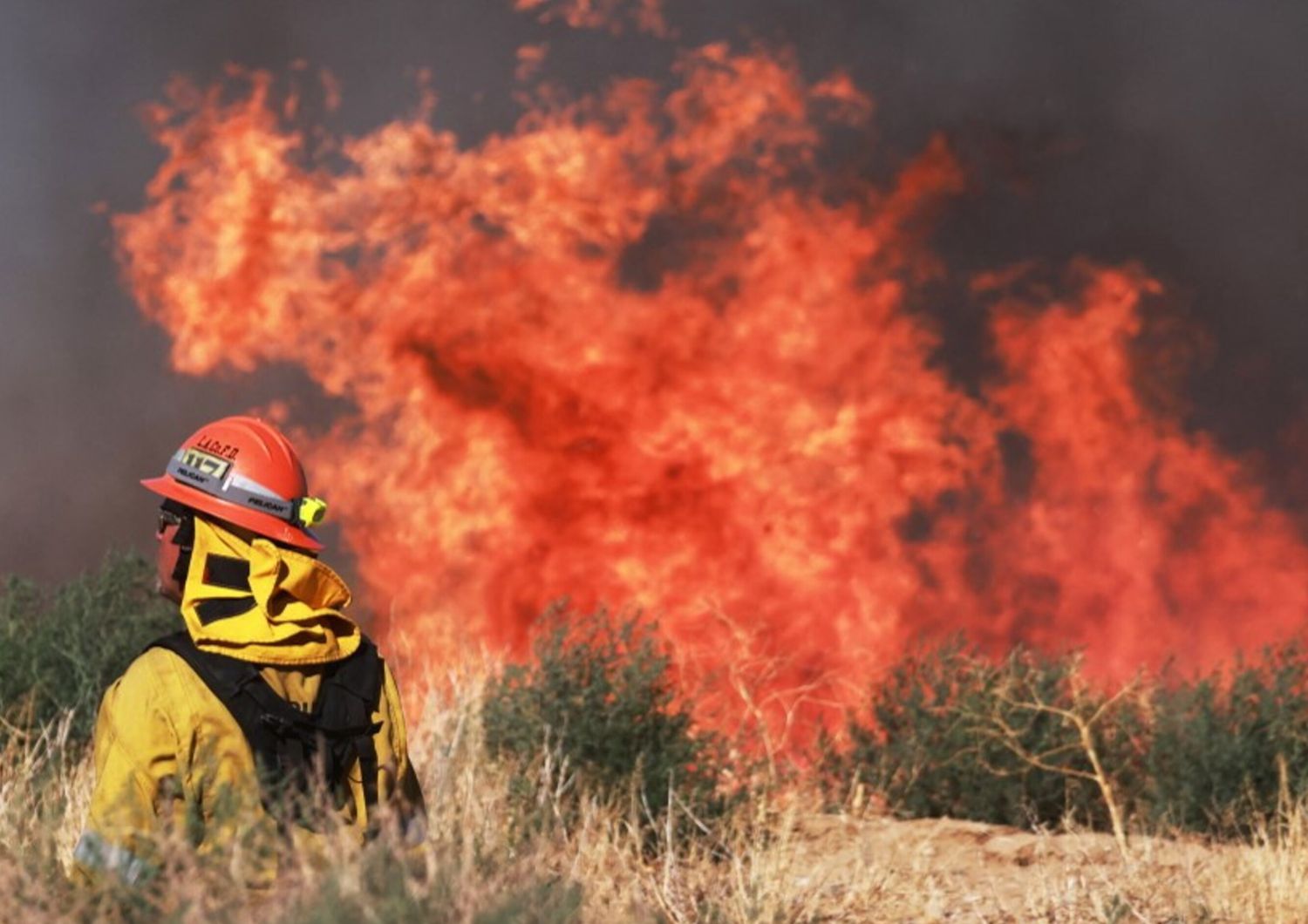 allarme incendi in california