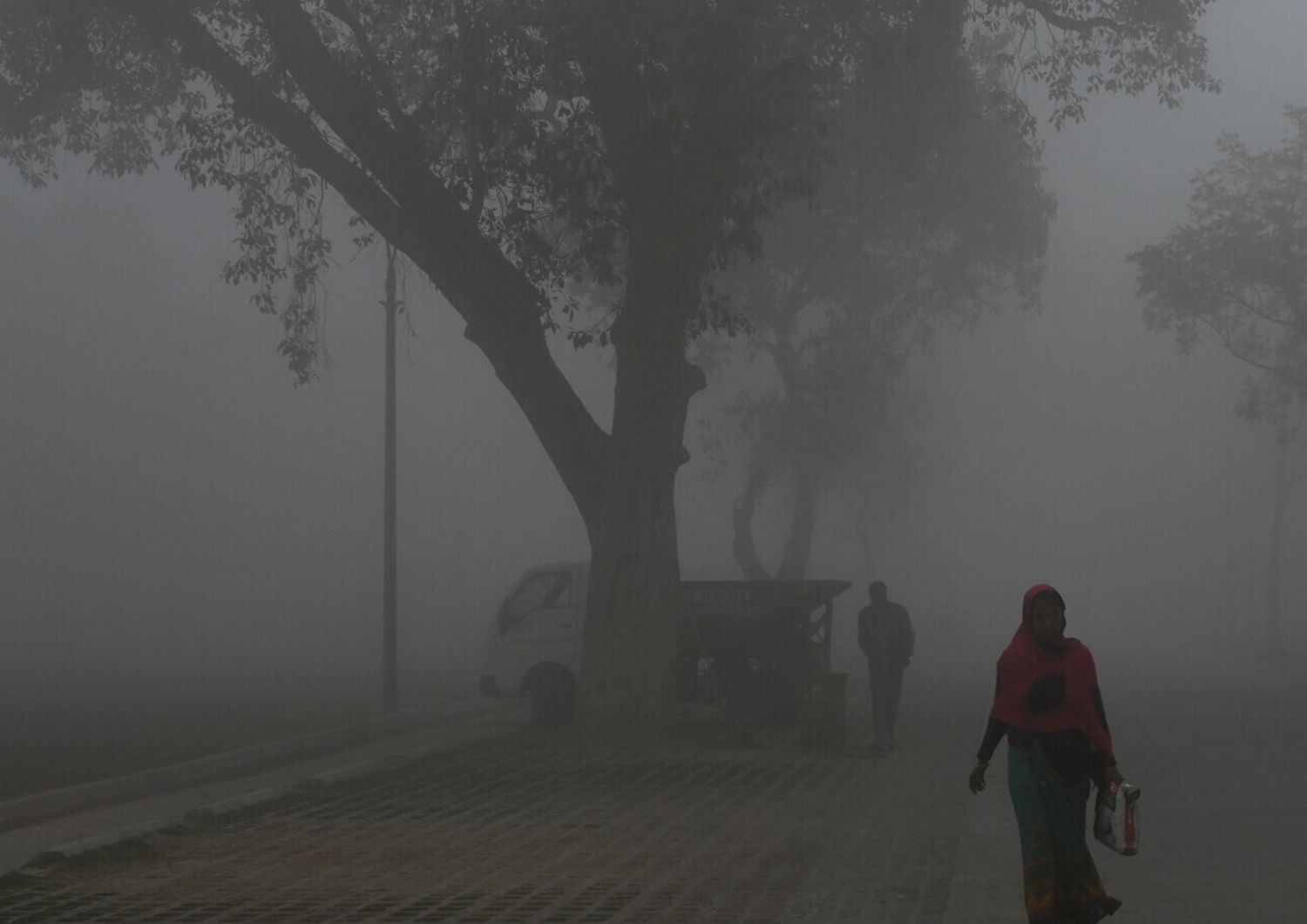 Una donna cammina a Nuova Delhi, in India, circondata dallo smog