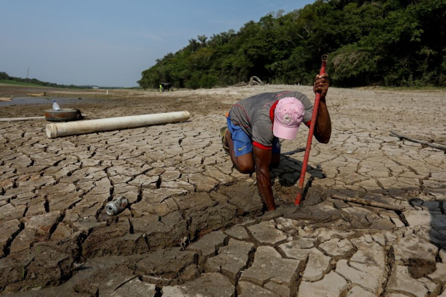 Siccità, foresta amazzonica