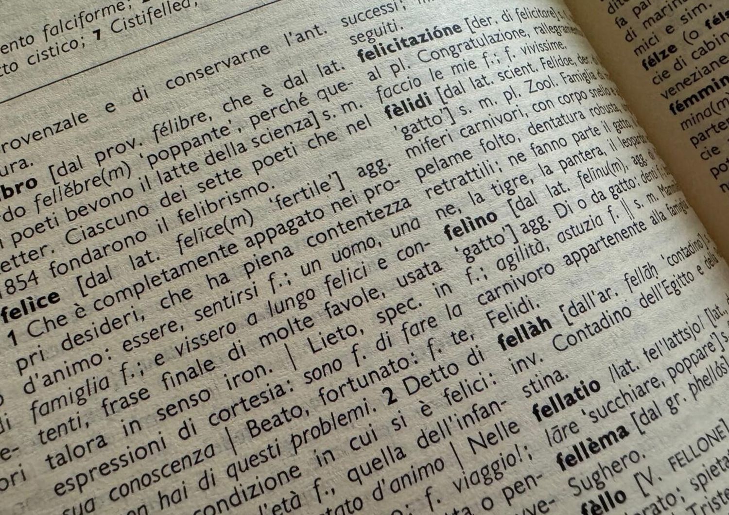 nuove parole inserite nel vocabolario accademia crusca