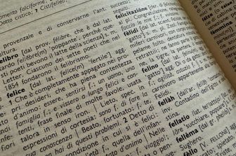 nuove parole inserite nel vocabolario accademia crusca