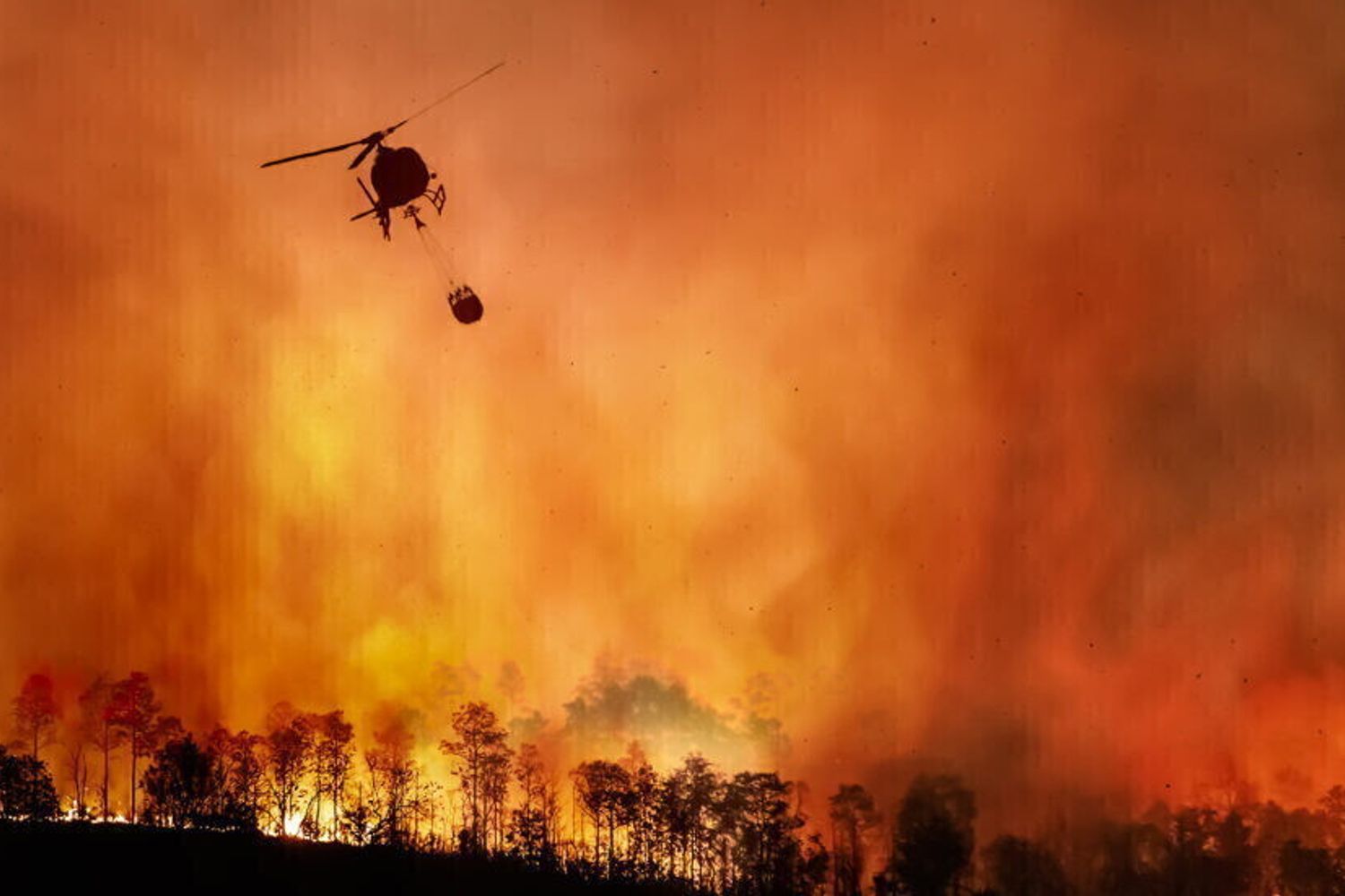 Un furioso incendio in un’area boschiva con un elicottero che risponde nel cielo