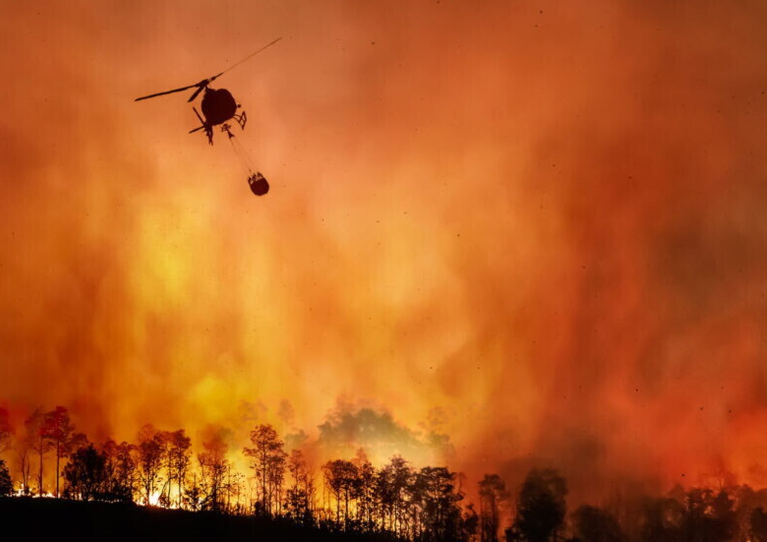 Un furioso incendio in un’area boschiva con un elicottero che risponde nel cielo
