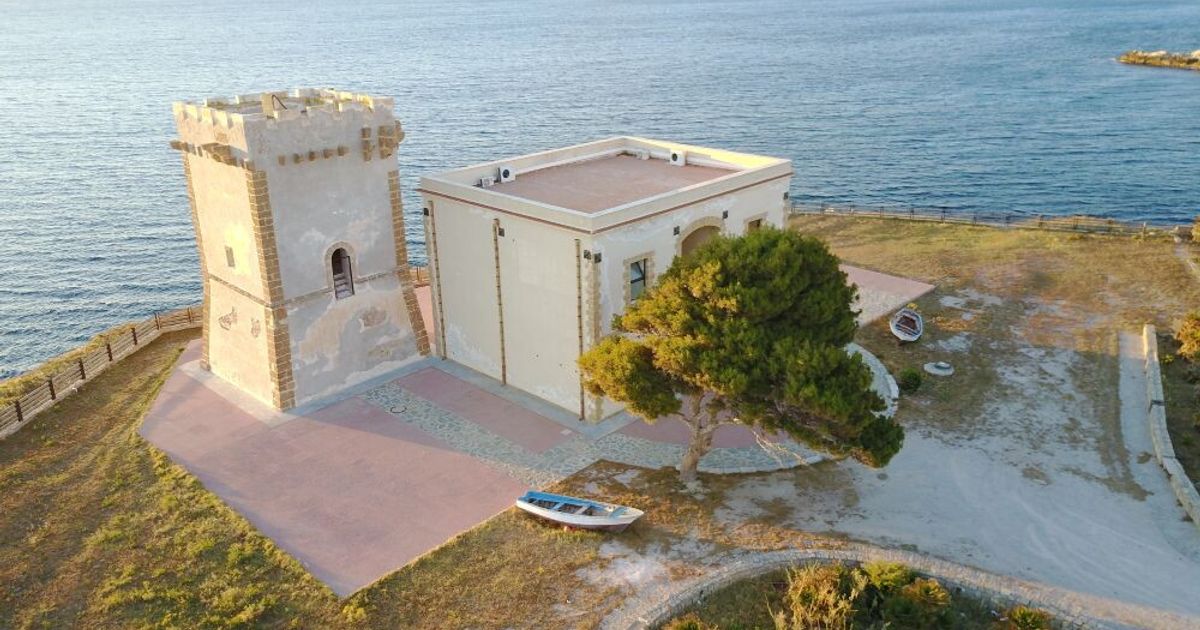 テッラジーニの「本の海」展のゲスト