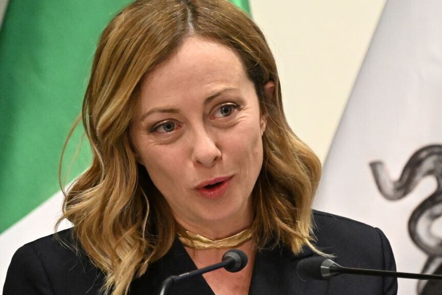 La premier Giorgia Meloni