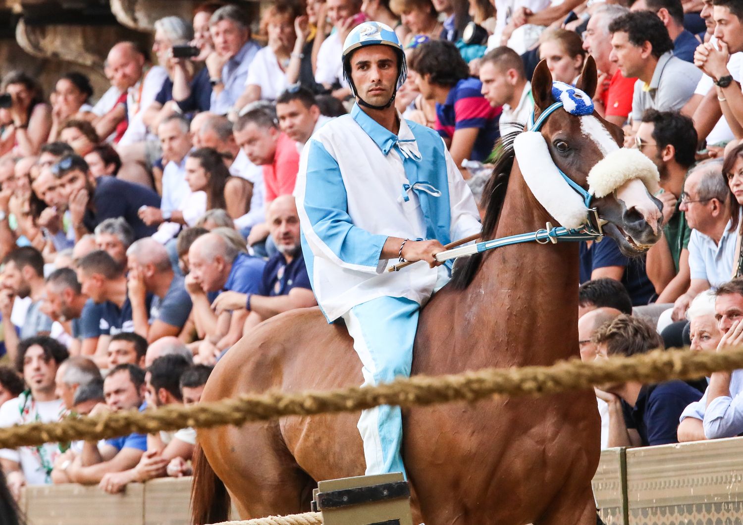 Palio Siena trionfa Onda