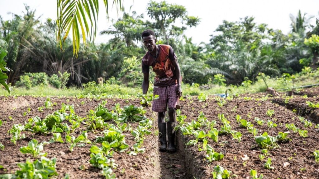 Agriculteur au travail