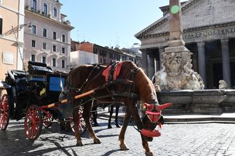 Una botticella a Roma