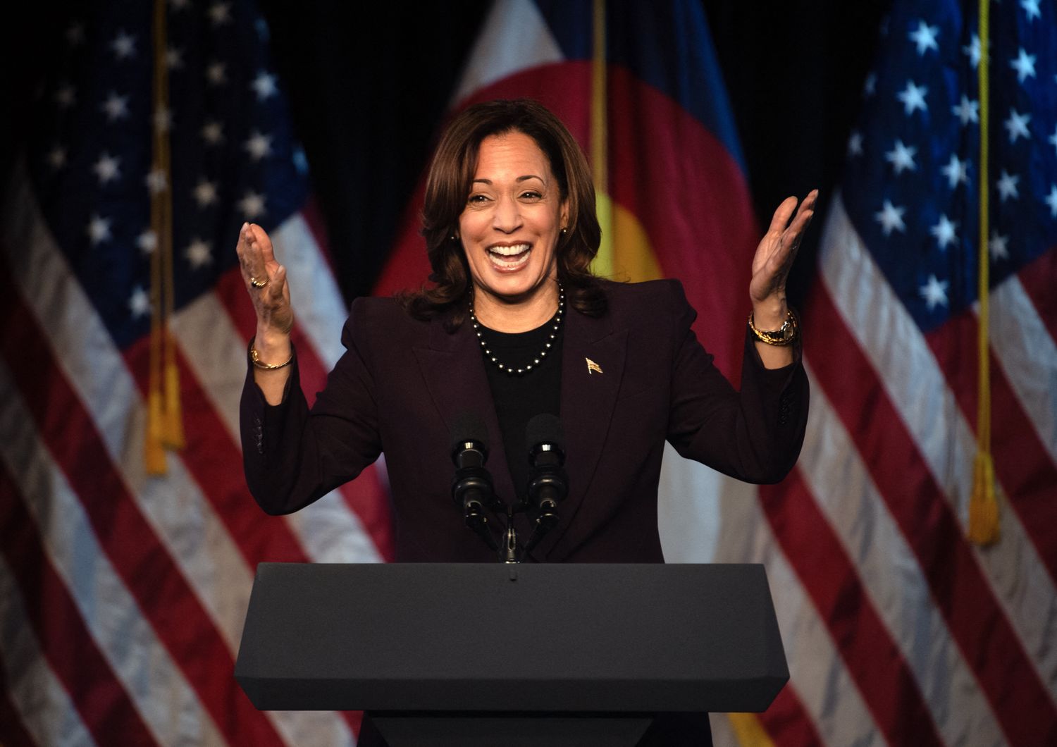 usa 2024 kamala harris voglio vincere chi e