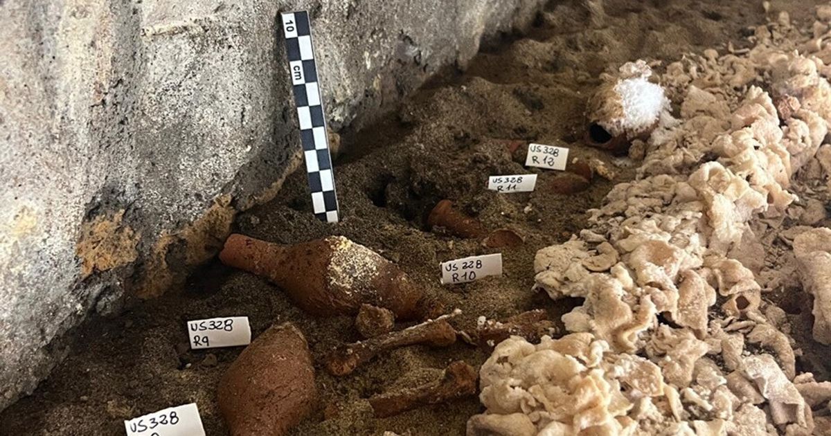 ケルベロスの墓では、副葬品とともに埋葬された遺体が発見された。