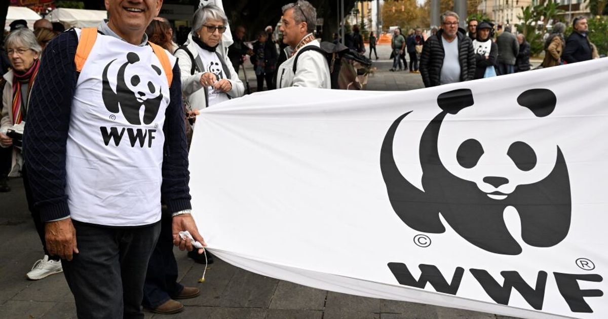 Ponte Stretto: Wwf a deputati, 