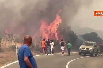 Incendi Oristano, Mariafrancesca Serra (Coldiretti): Oggi Sardegna piange, in fumo nostri sacrifici