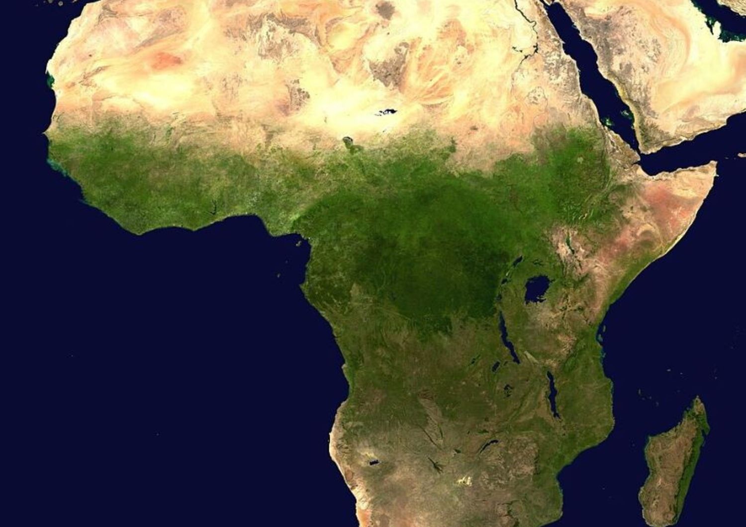 Image satellitaire de l'Afrique qui met en évidence l'extension du Bassin du Fleuve Congo