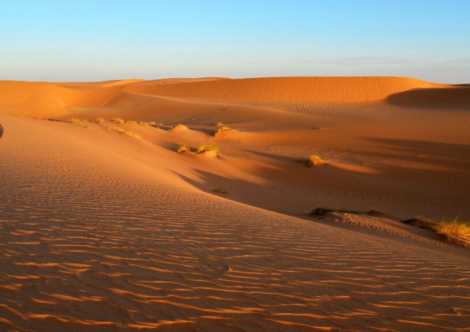 sabbia sahara condiziona meteo nord america