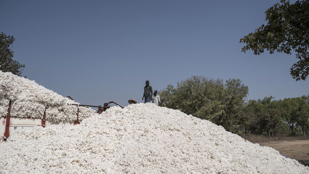 Un  tas de coton à Bakou (Bénin)