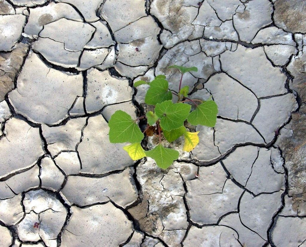 Siccità in Sicilia