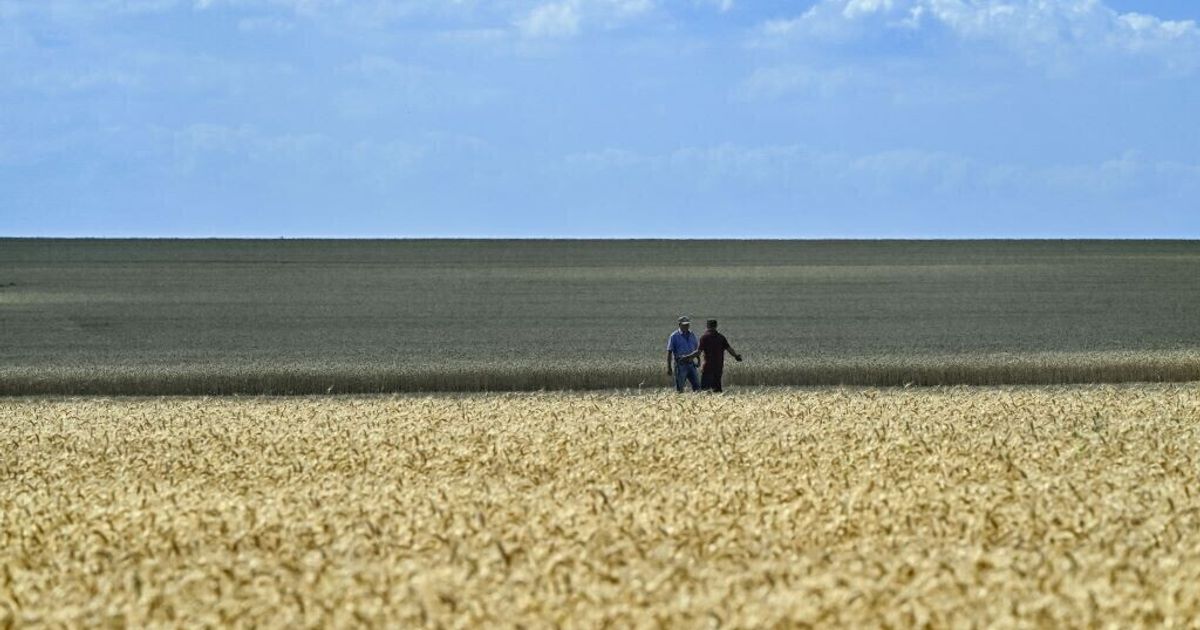 Sostenibilità, le imprese italiane corrono (non tutte) verso il futuro