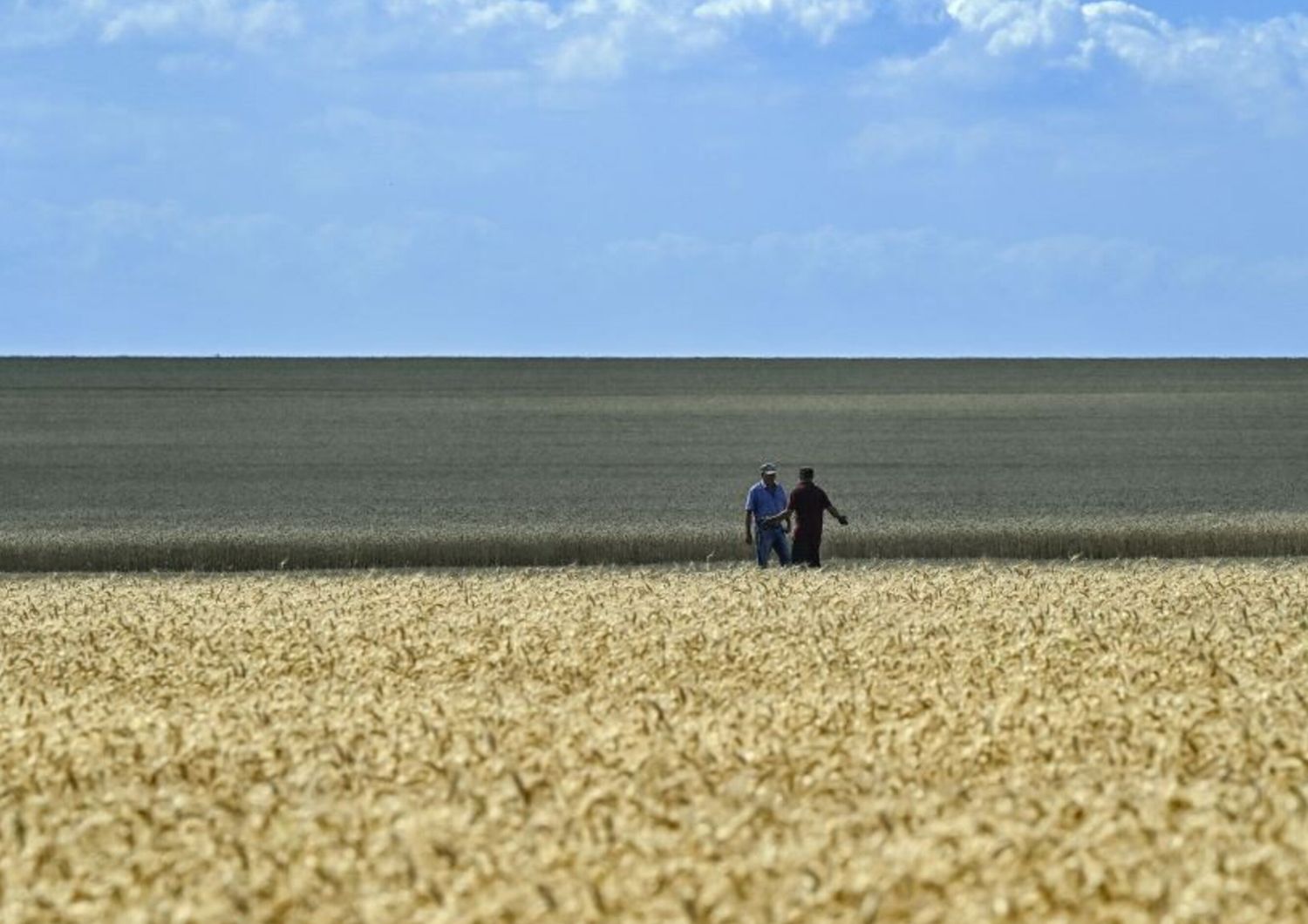 Agricoltura