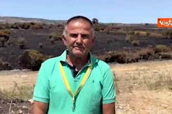 Incendi in Sardegna, il grido di dolore degli agricoltori: "Non ci sono più parole, è un disastro"