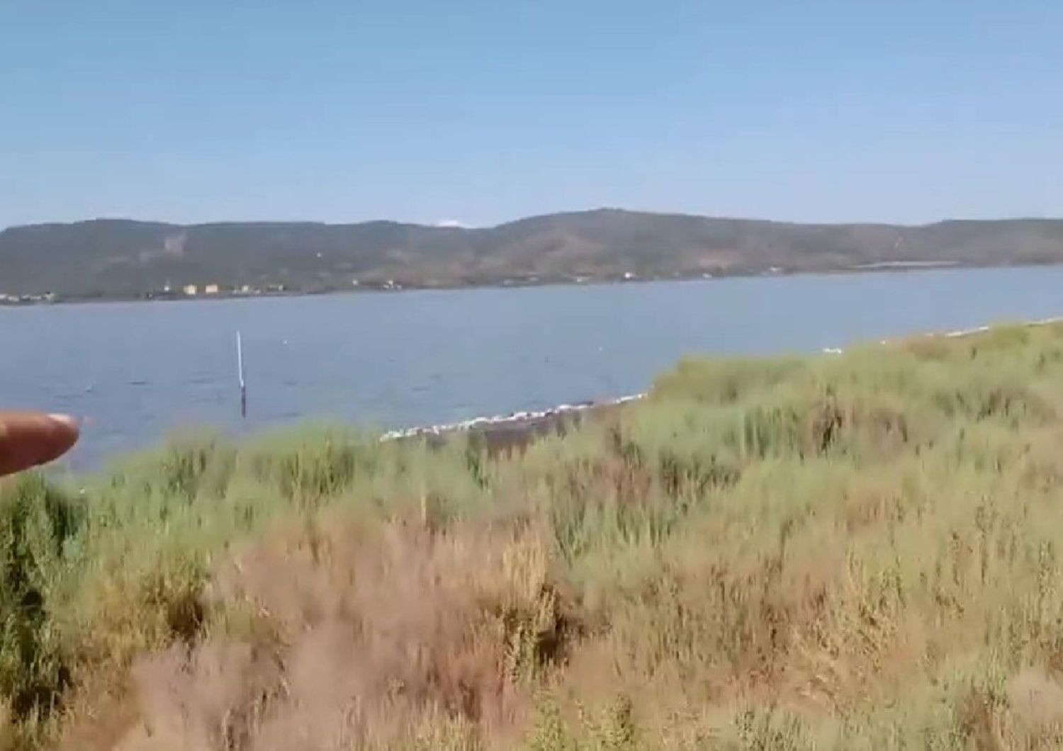 ambiente mare ansedonia invaso acqua putrida