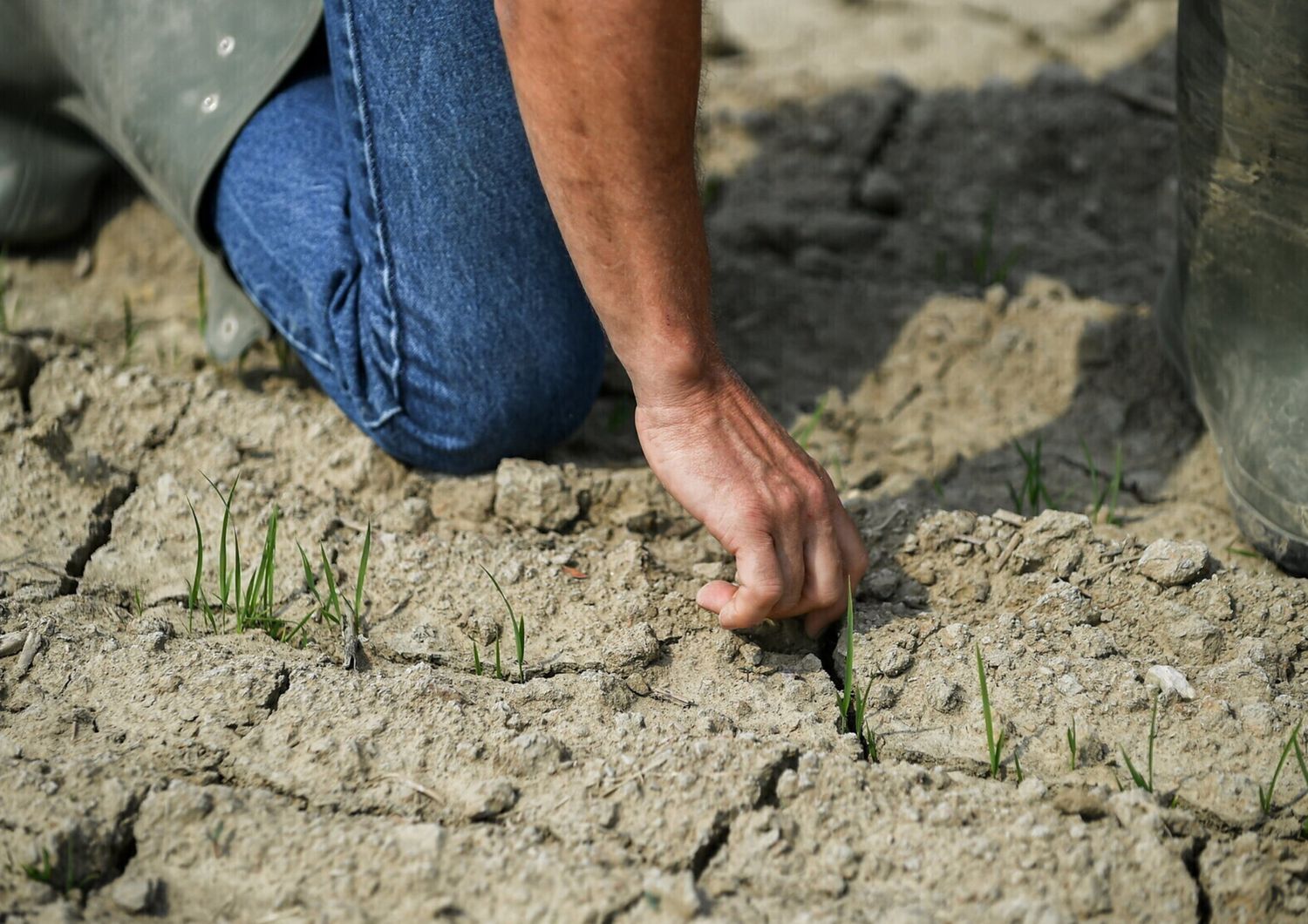 Agricoltura e siccit&agrave;