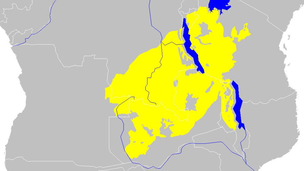 Carte de l'écorégion du miombo