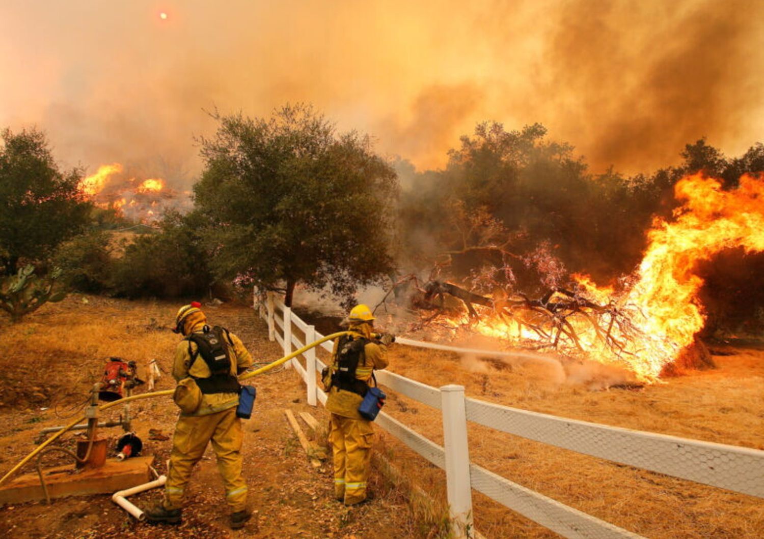 I vigili del fuoco di Stockton, California, spengono le fiamme su Hidden Valley Rd. mentre combattono un incendio boschivo (venerdì 3 maggio 2013)