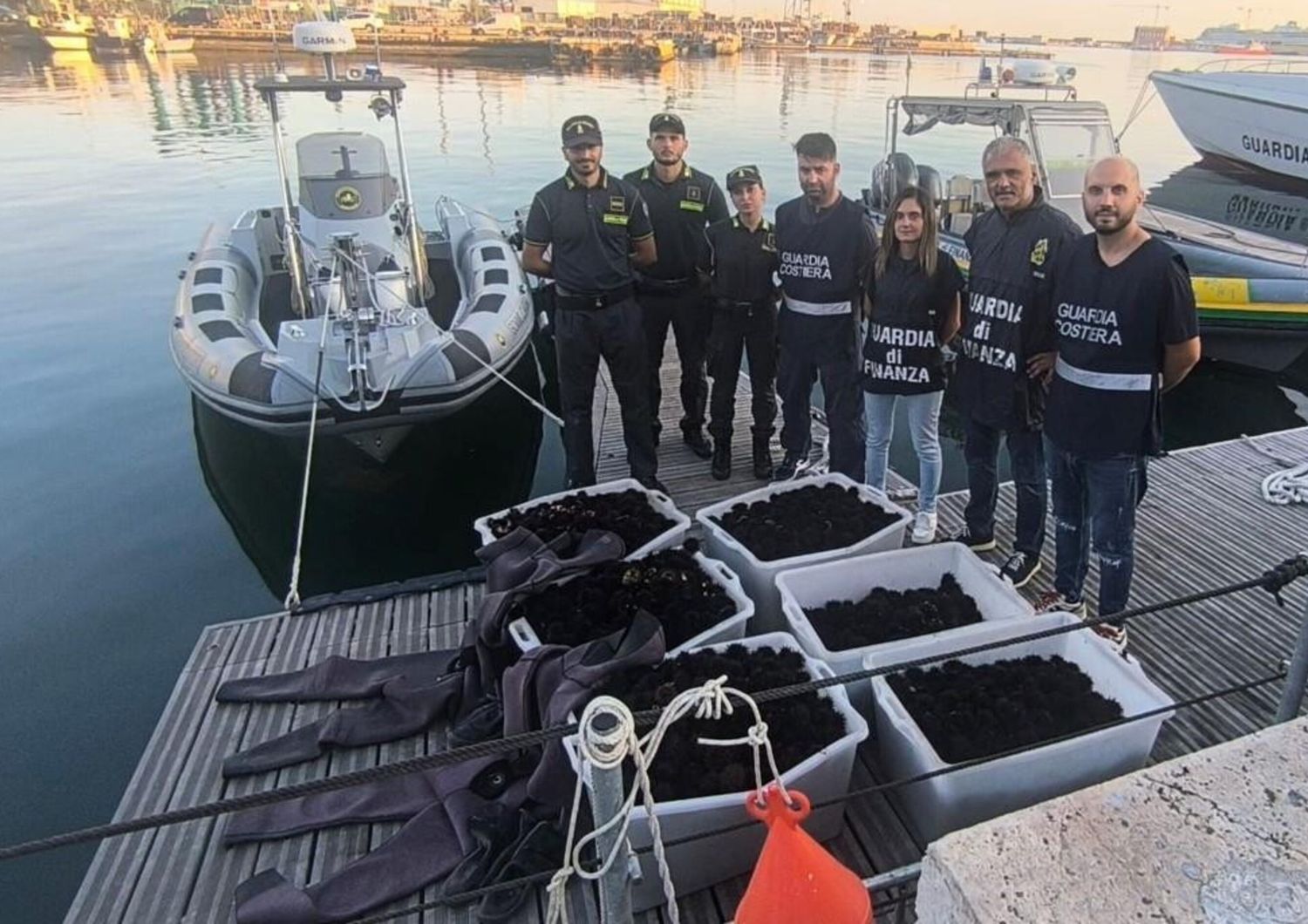 Gdf sequestro ricci di mare ad Ancona