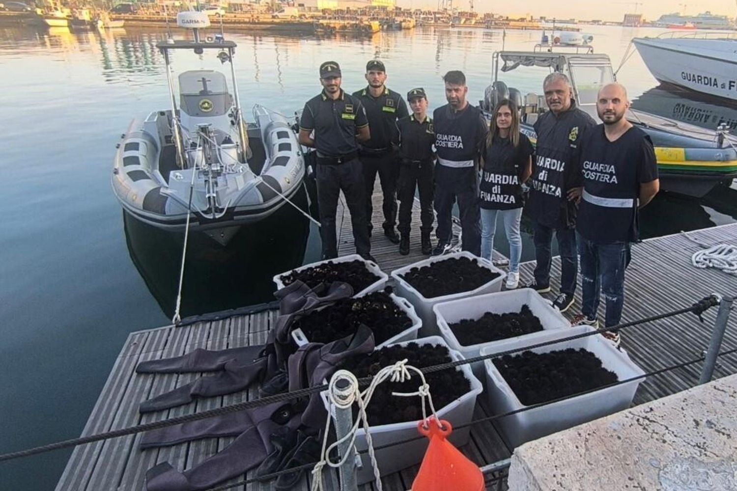 Gdf sequestro ricci di mare ad Ancona