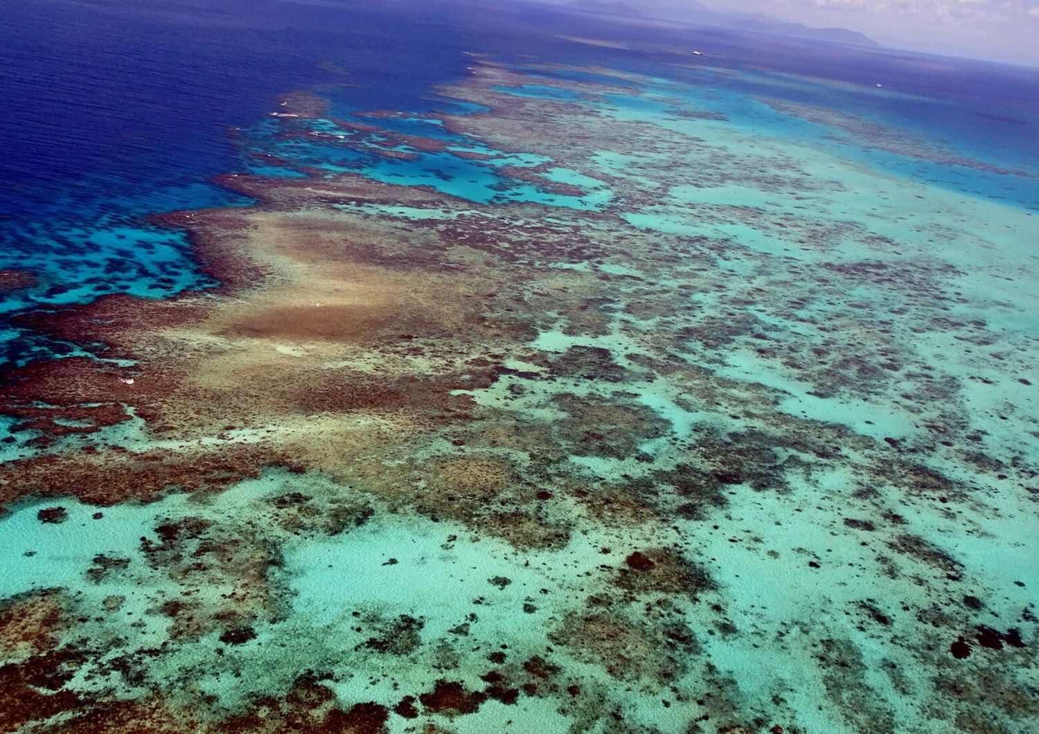 La Grande barriera corallina