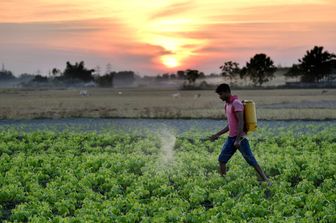 Pesticidi in agricoltura