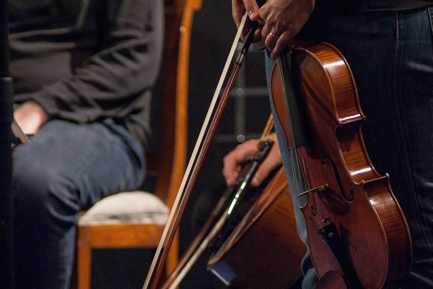 Mantova Chamber Orchestra (foto sito)