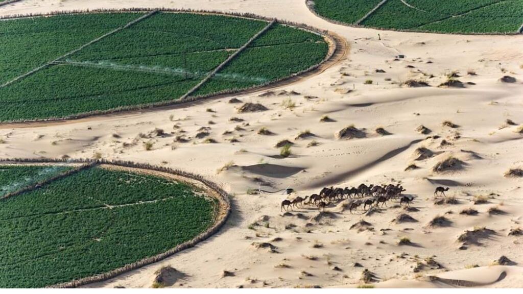 Le projet sera réalisé dans la zone agricole d'Imguiden, dans le cadre du programme de couloir vert. Il contribuera à l'augmentation de la superficie exploitée pour l'agriculture stratégique dans la région, telle que la culture des céréales sèches et des légumineuses