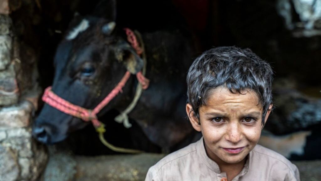 Un bambino afghano in contesto rurale