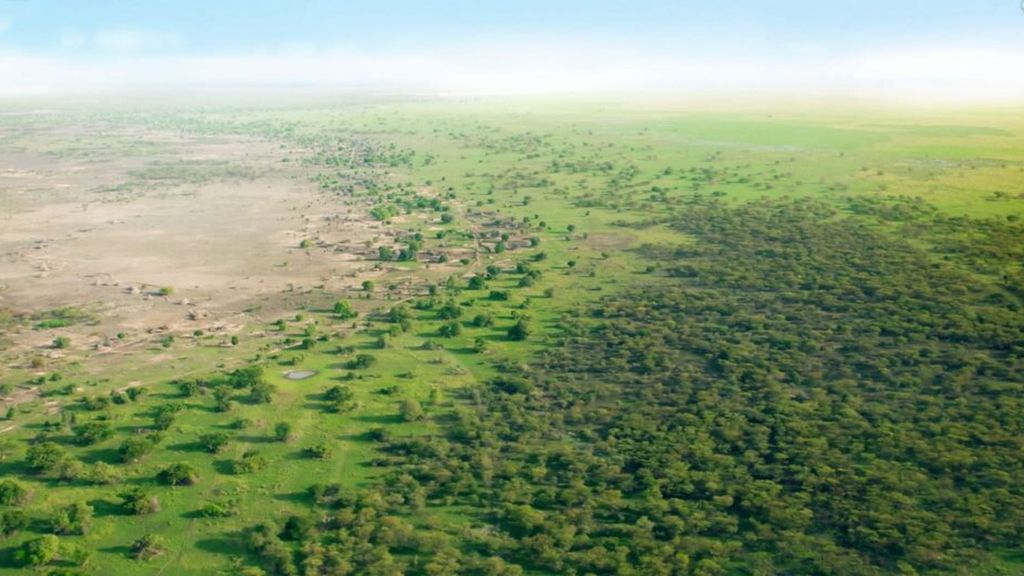 la Grande Muraille Verte pour accélérer l'action climatique et le développement