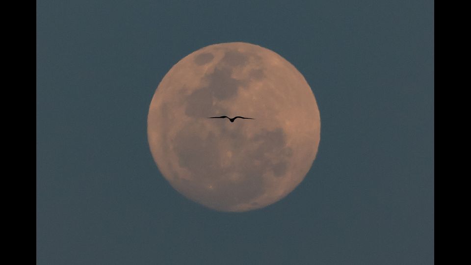 La superluna sopra Rio de Janeiro