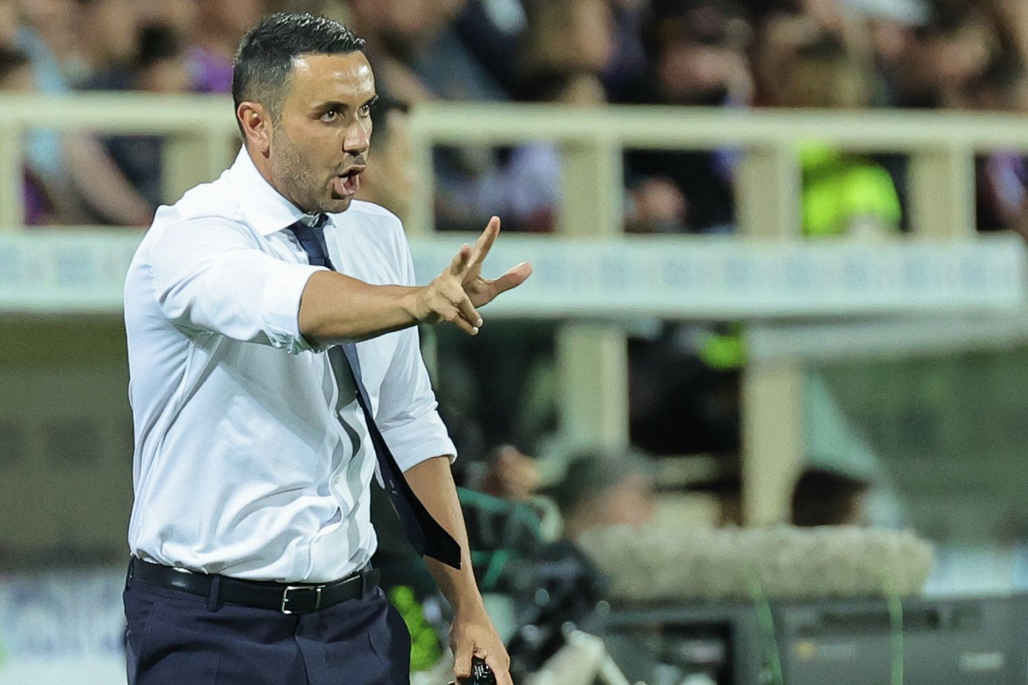 Raffaele Palladino, allenatore della Fiorentina