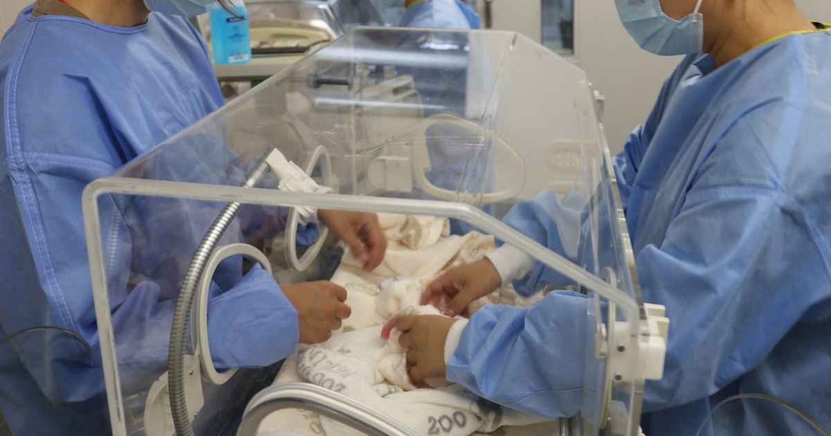 Tripla gioia al policlinico di Messina: nascono 3 gemelli, stanno tutti bene