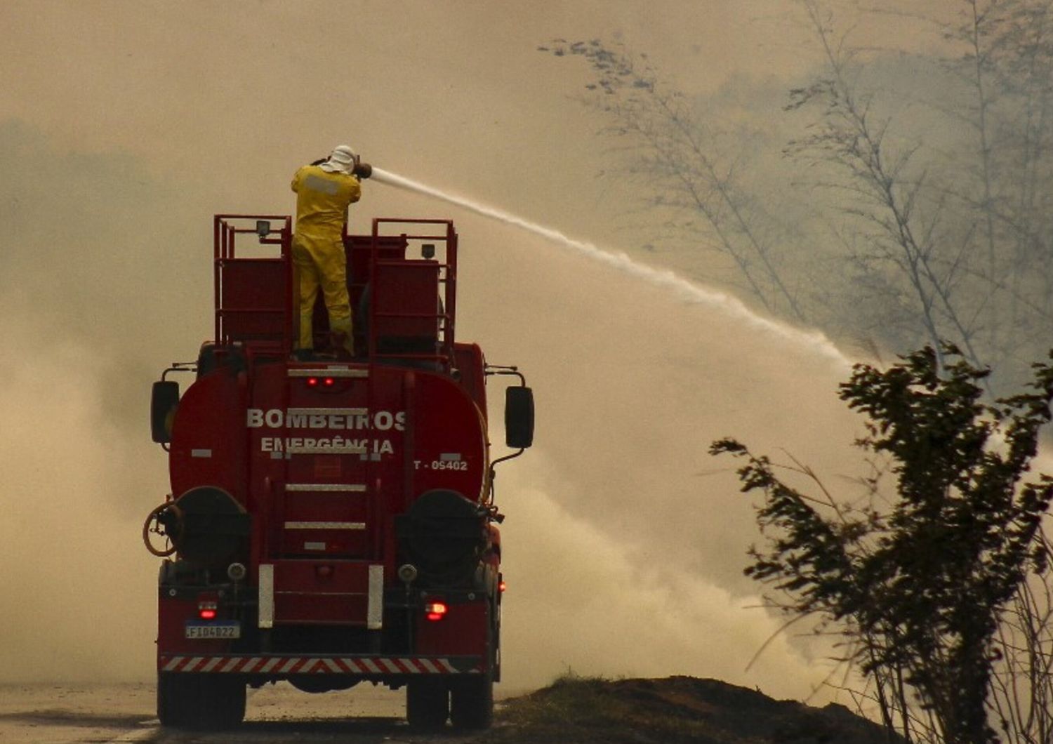 incendi in Brasile