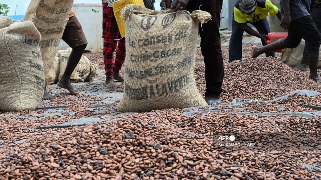 L’Italie sur la route du café africain