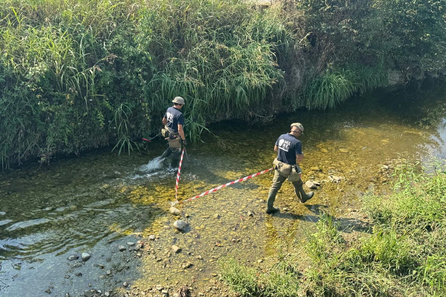 Luogo delle ricerche