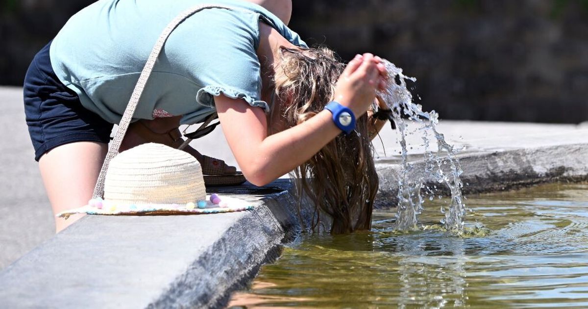 暑さは収まらず、気温は平均より8度も高い